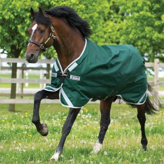Horseware Rambo Original Turnout lite 0g - green/silver