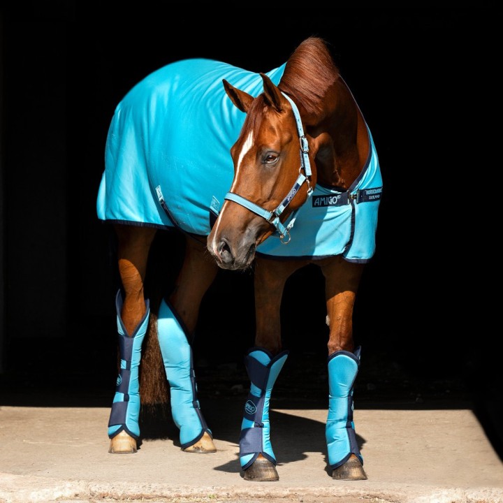 Horseware Amigo Ripstop Travel Boots - Delphinium