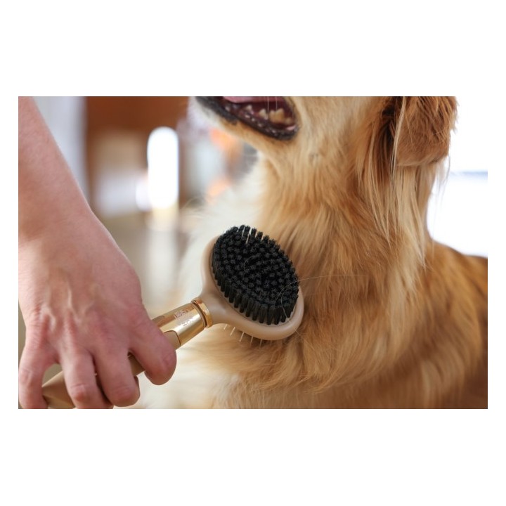 Kerbl MagicBrush Doppelbürste für den Hund