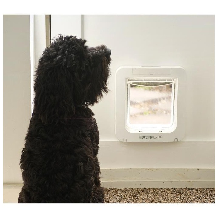 SUREFLAP Große Katzenklappe mit Mikrochip – Weiß – 178 mm x 170 mm (Speicherung von bis zu 32 Chips)