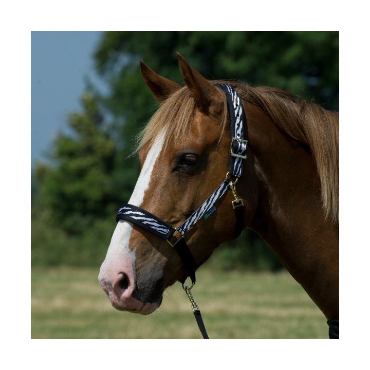 Bucas Comfort Halfter - Zebra/Black