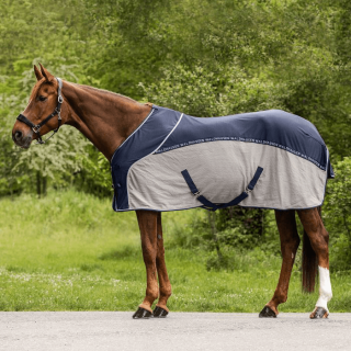 Waldhausen Sommerdecke