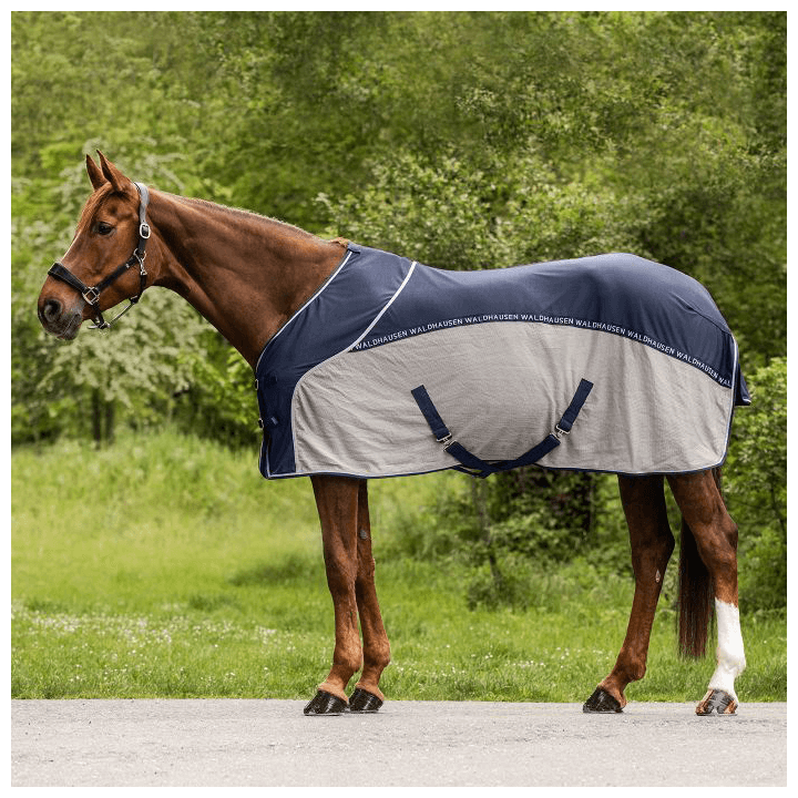 Waldhausen Sommerdecke