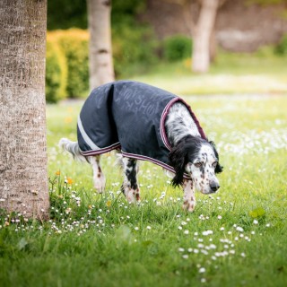 Horseware Amigo Dog Rug Ripstop 100g