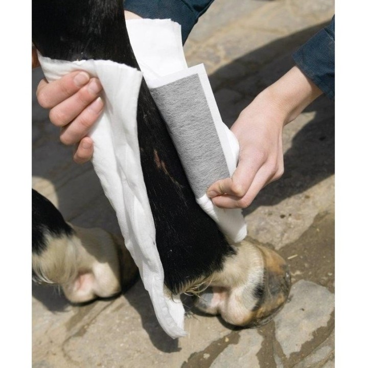 Animalintex Wundverband 40cm x 20cm