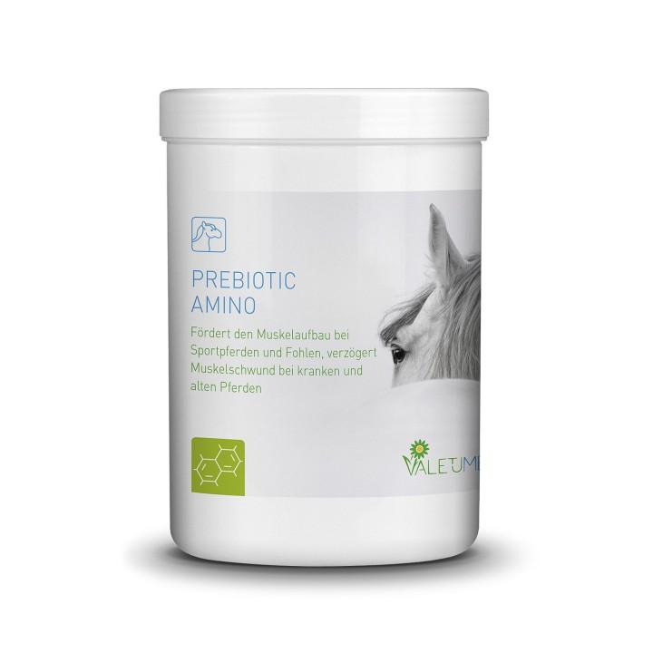 Valetumed Prebiotic Amino