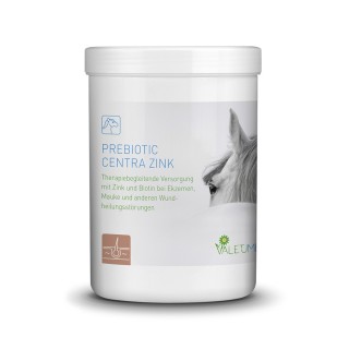 Valetumed Prebiotic Centra Zink