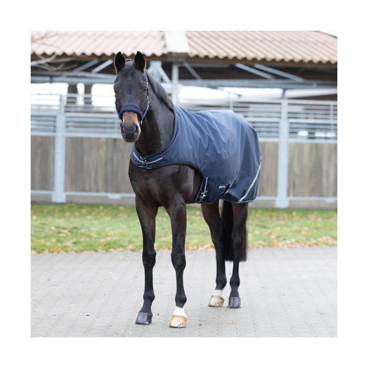 BUSSE Bewegungsdecke RAIN COMFORT 100g