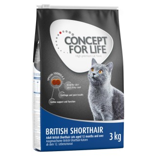 Sparpaket Concept for Life Trockennahrung zum Vorteilspreis - British Shorthair (3 x 3 kg)