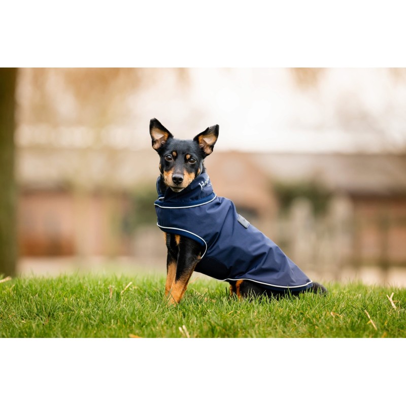 Horseware Ireland Hunderegenmantel Signature "Navy" - L