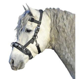 HKM Kappzaum aus Nylon