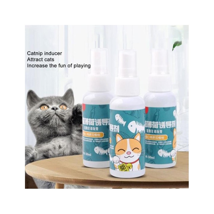 50ml Katzenminze Spray Keine Nebenwirkung Stress abbauen Ausschließen Streunende Haare Haustier