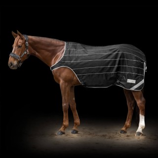 Waldhausen Reflex Führmaschienendecke