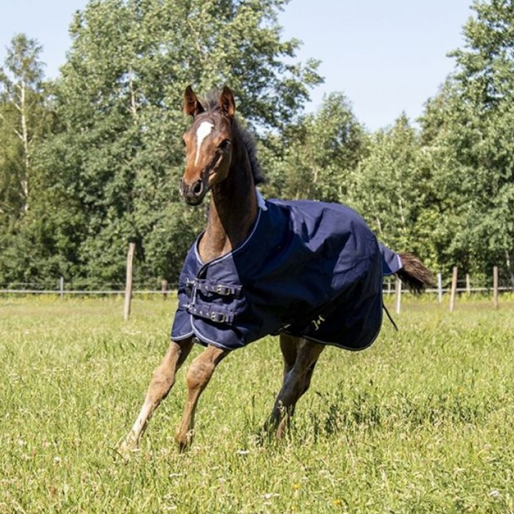 HKM Fohlendecke Professional mit Polarfleece 0g dunkelblau