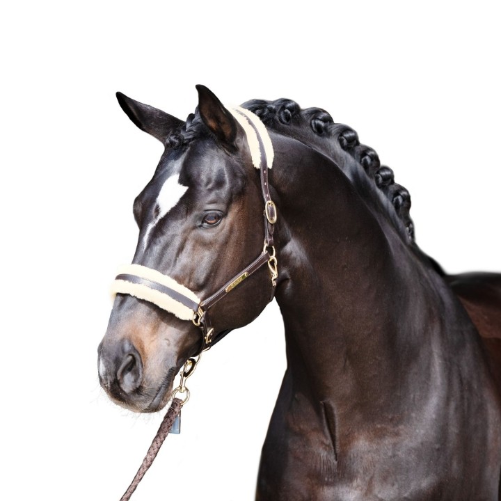 Eskadron Faux Fur Set Elegance Schoner