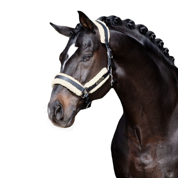 Eskadron Faux Fur Set Stallion Schoner