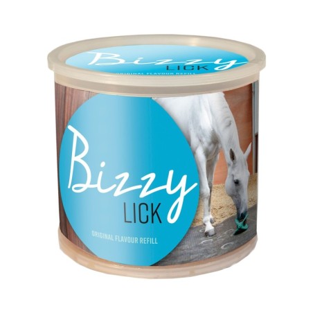 Waldhausen Bizzy Horse Leckstein 1kg