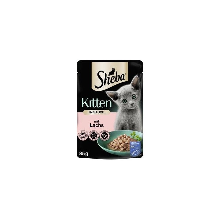 Sheba Kitten in Sauce mit Lachs