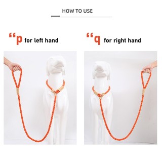 Hundeleine, Schlupfseil, geflochtenes Seil, 1,7 m, robuste, zugfreie Trainingsleine für kleine, mittelgroße und große Hunde 1