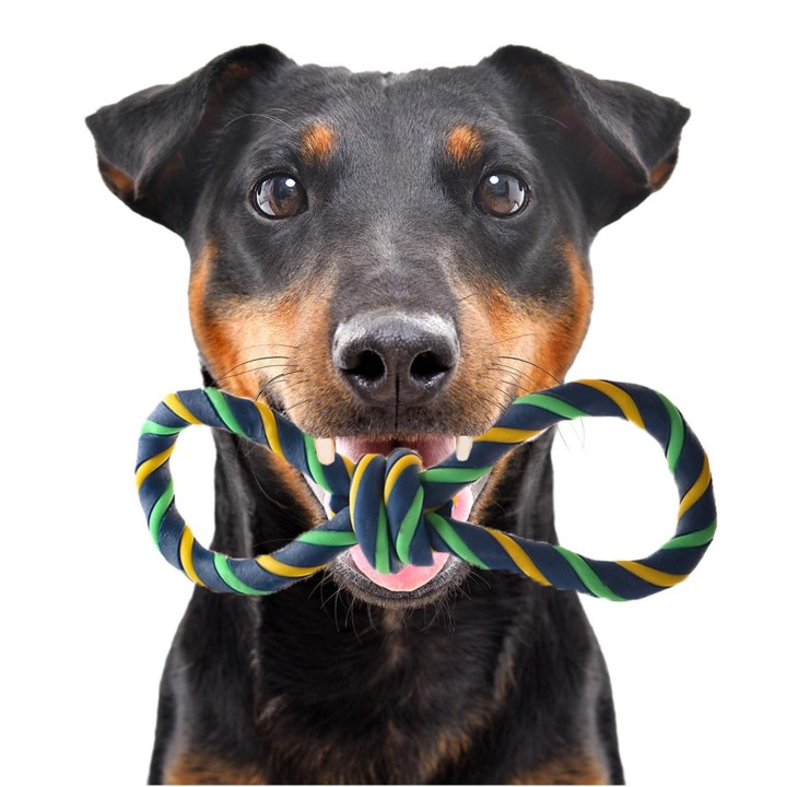 Happypet Gum Figure - Latexspielzeug