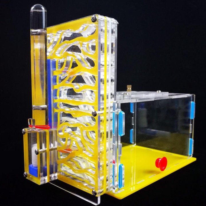 DIY T-Design Futterbereich Acryl Bauernhof Insekten Villa Pet Mania Haus Ameisennest Geburtstagsgeschenk Geschenk blau