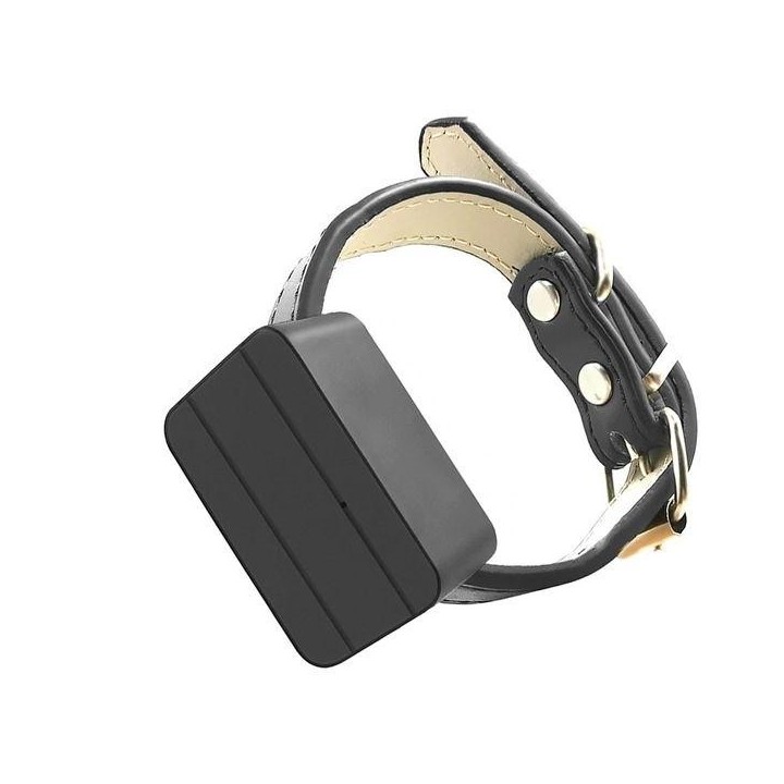 Halsband mit wasserdichtem GPS-Tracker für Hunde und Katzen