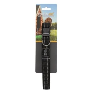 Regatta Premium Hundehalsband L-XL schwarz