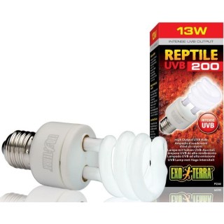 Exo Terra Intense-Glühbirne 12.0 UVB 13W