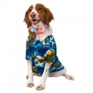 Bristol Neuheit Luau Hundekostüm S schwarz