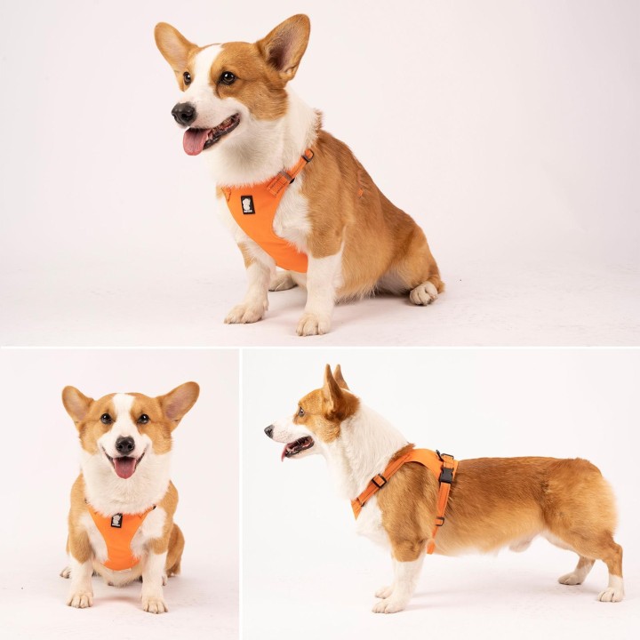 Hundegeschirr, reflektierend, verstellbar, Netzstoff, leichte Weste für kleine, mittelgroße und große Hunde Medium schwarz