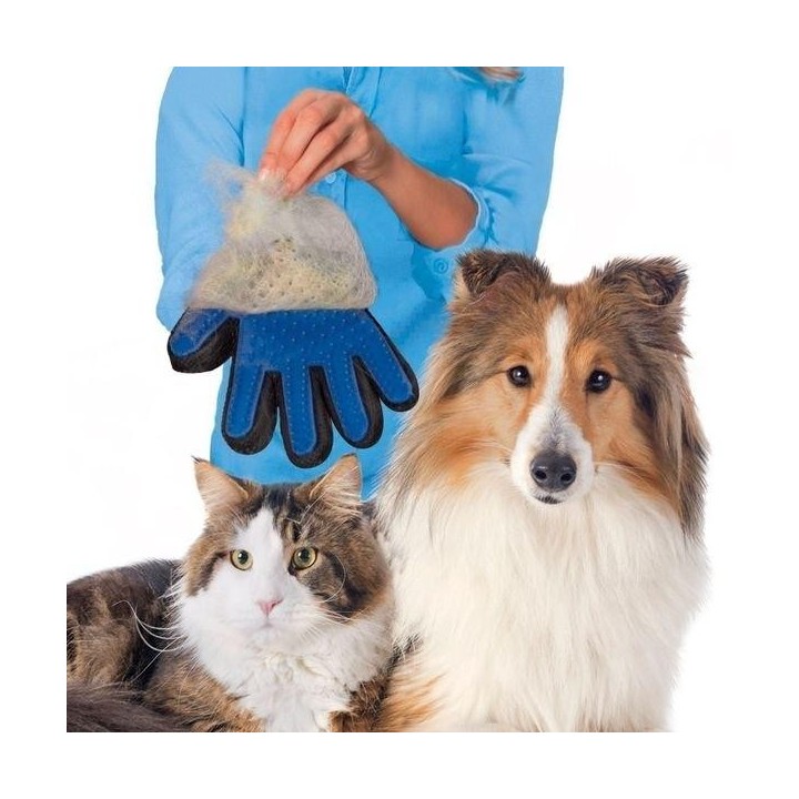 Massage- und Haarbürstenhandschuh für die Tierpflege von Hunden und Katzen