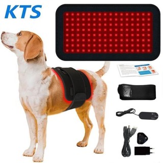 Tragbares Haustier-Hundebein-Physiotherapiegerät, Rotlichttherapie 660 nm, 850 nm schwarz