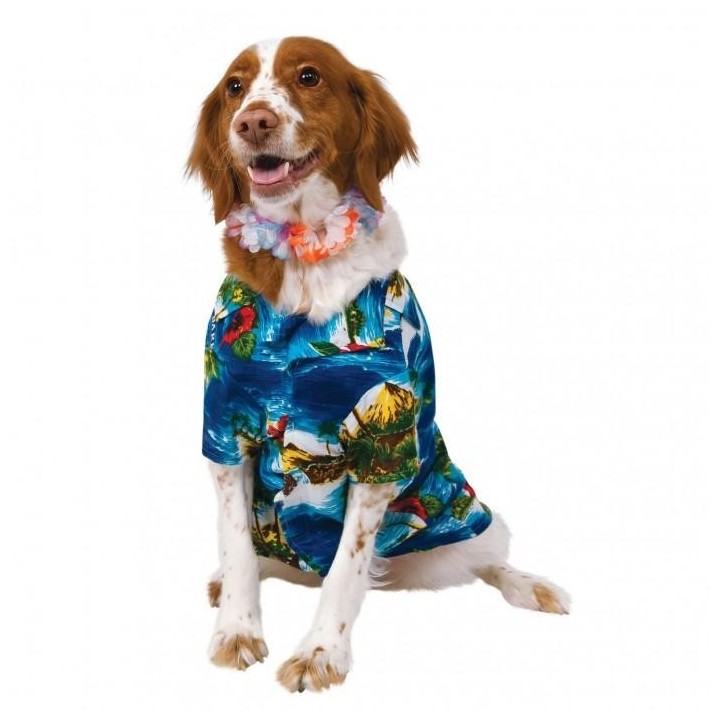Rubies Luau/Strandparty-Hundekostüm blau