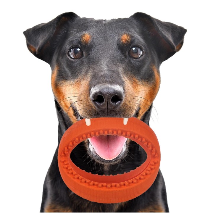 Happypet Grubber Interaktiver Fußball Small für Katzen