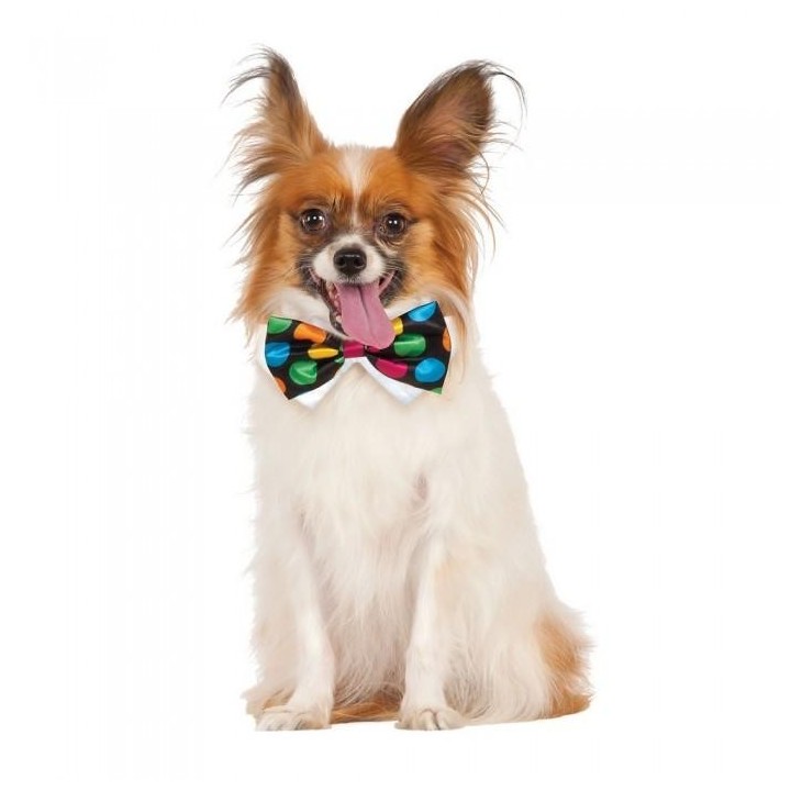 Bristol Novelty Tupfen-Halloween-Fliege L-XL