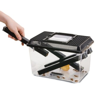 Exo Terra Cricket Pen L Feeder Terrarium (30 x 20,5 x 19,5 cm)