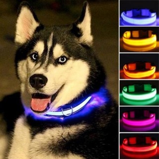 Welpen Hund Katze Nacht Sicherheit blinkende leuchtende LED-Licht verstellbare Haustierhalsband M