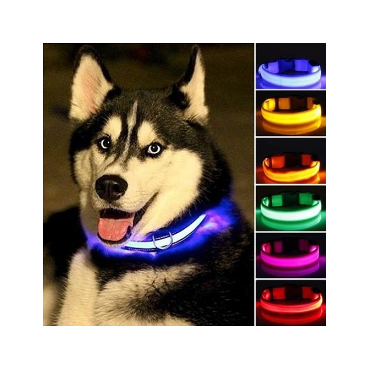 Welpen Hund Katze Nacht Sicherheit blinkende leuchtende LED-Licht verstellbare Haustierhalsband M
