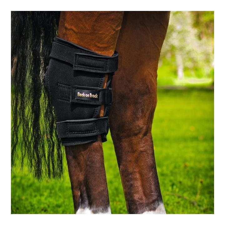 Back on Track Sprunggelenkschoner mit Ausschnitt-rechts- schwarz