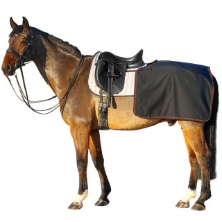 Euroriding Softshell Nierendecke