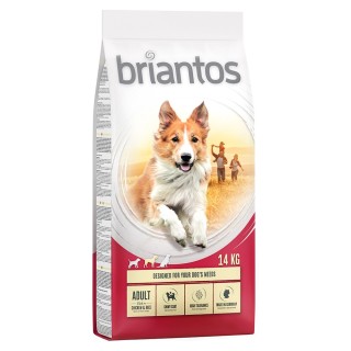 Briantos Adult Huhn & Reis - 14 kg
