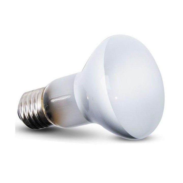 Repti-Zoo Beam Spot 100 W – Spot-Heizlampe