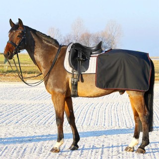 Euroriding Softshell Nierendecke