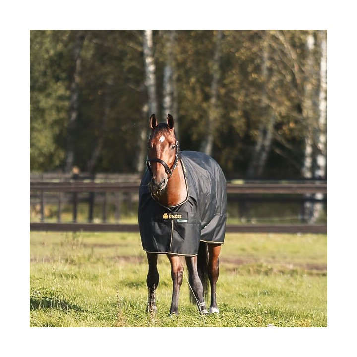 Bucas Irish Turnout 250g