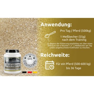 GVS Equistars Myo Equine