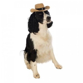 Bristol Neuheit Cowboyhut Hundekostüm M-L schwarz/creme