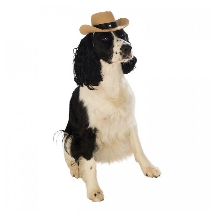 Bristol Neuheit Cowboyhut Hundekostüm M-L schwarz/creme