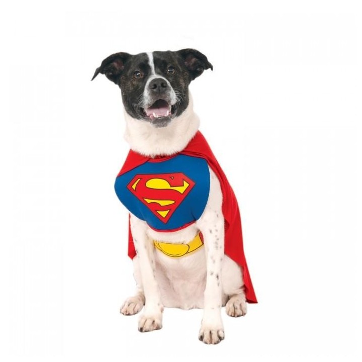 Superman Hundekostüm S rot/blau