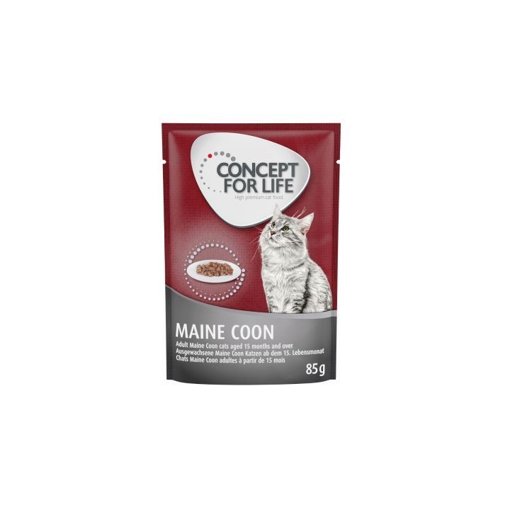 Sparpaket Concept for Life 48 x 85 g - Maine Coon Adult (Ragout-Qualität)