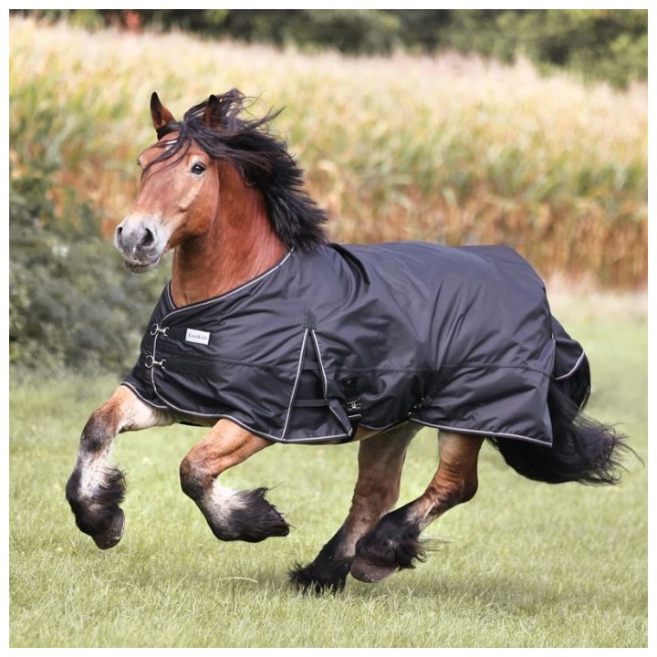 Kavalkade Outdoordecke Kaltblut